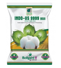 Cotton Indo US 9999 BG II (Pack of 3)